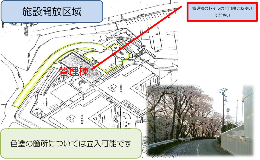 「さくらのさんぽ道」施設開放区域