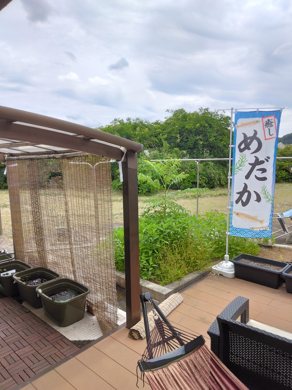 愛名やまゆり園でのメダカ飼育を通した取り組みについて 1