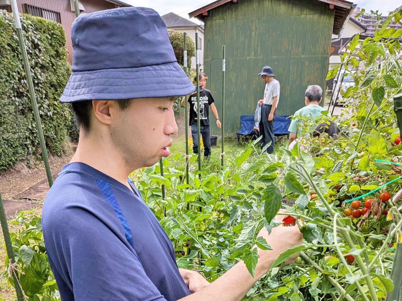「Sereno」活動内容